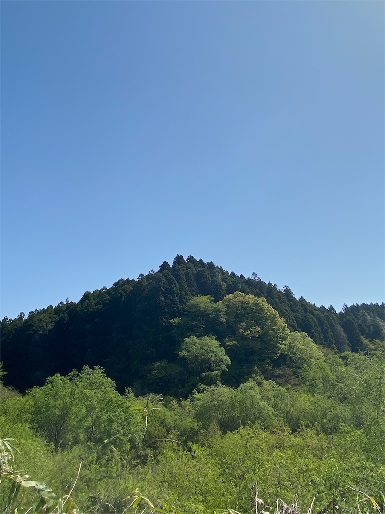 f:id:poetohshima:20230428212909j:image