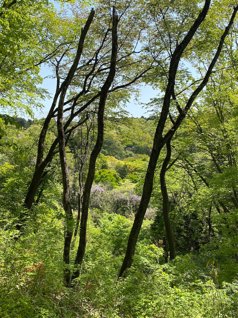 f:id:poetohshima:20230428212913j:image