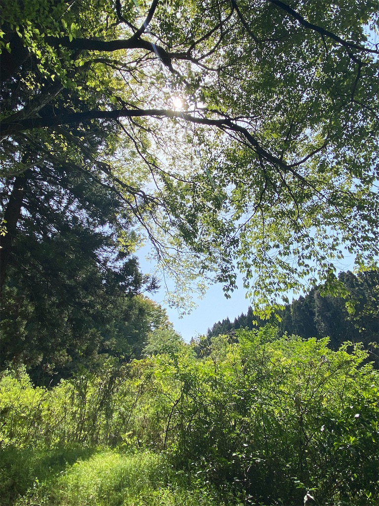 f:id:poetohshima:20230428212923j:image