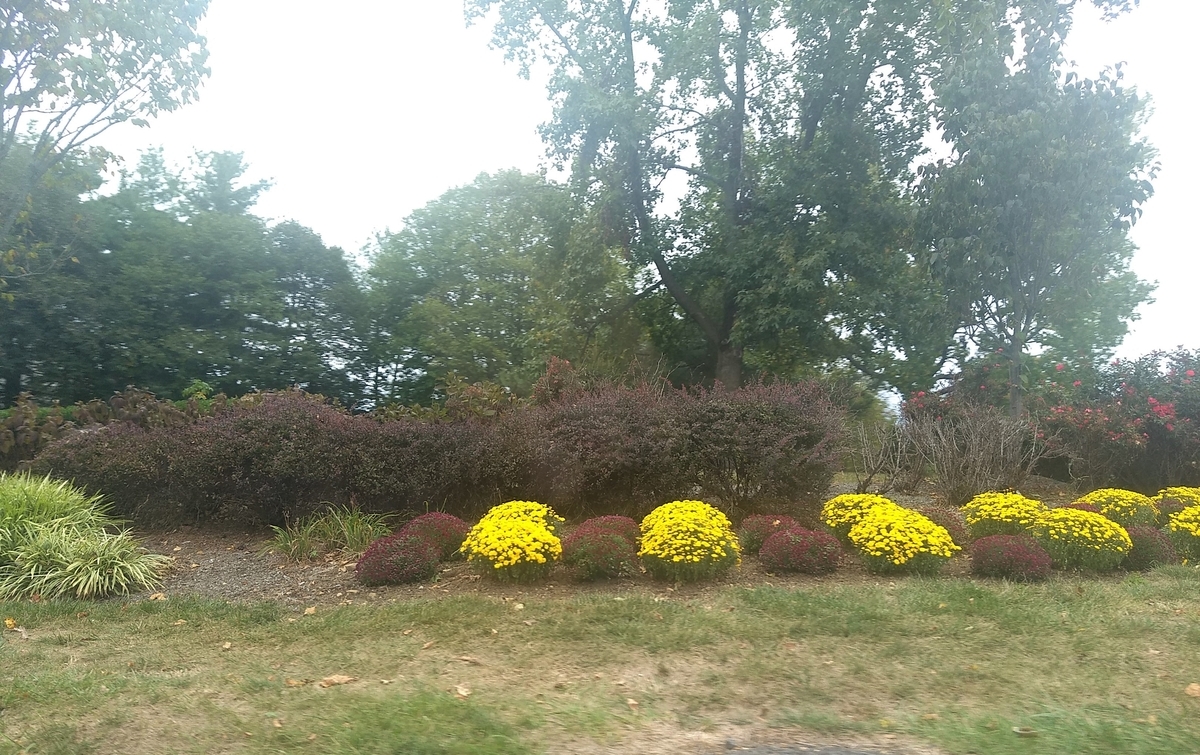 f:id:pohon:20191119030435j:plain f:id:pohon:20191119030435j:plain