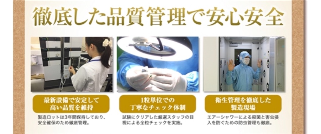 f:id:poikatsukun:20200109095654j:image f:id:poikatsukun:20200109095654j:image