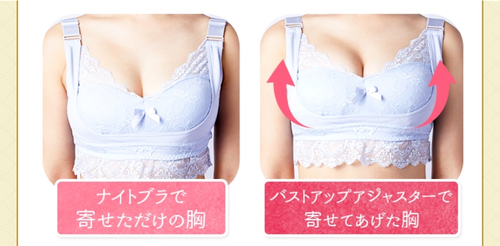 f:id:poikatsukun:20200127195212j:image f:id:poikatsukun:20200127195212j:image