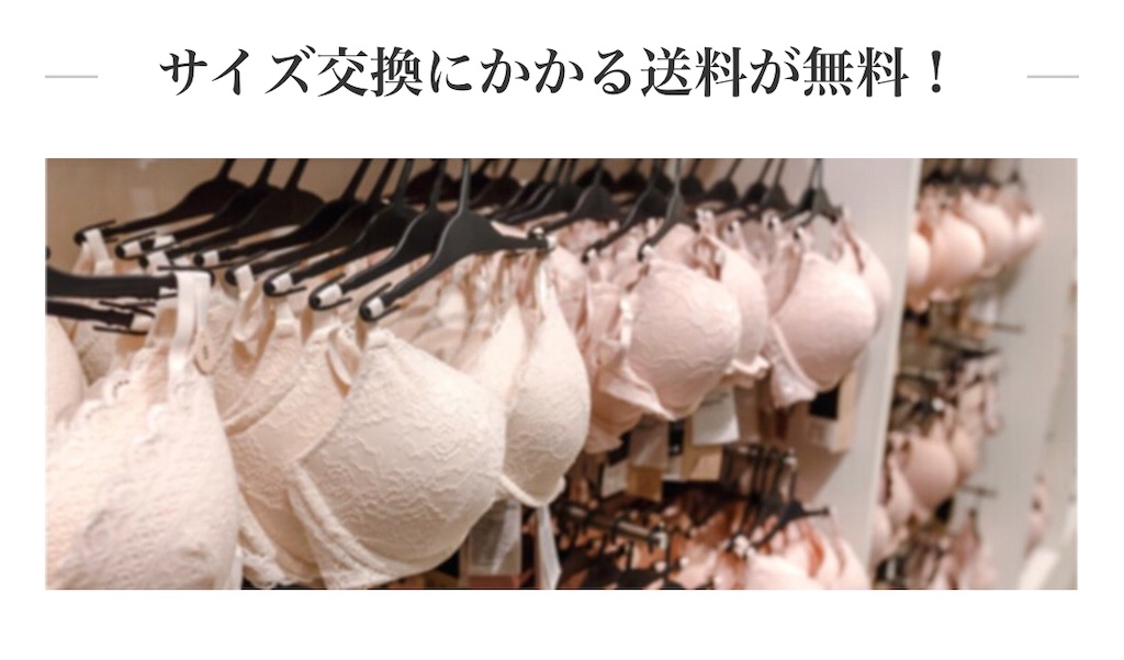 f:id:poikatsukun:20200128131525j:image f:id:poikatsukun:20200128131525j:image