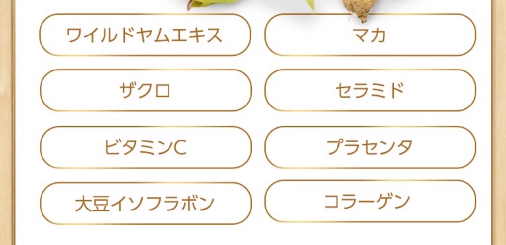 f:id:poikatsukun:20200206093759j:image f:id:poikatsukun:20200206093759j:image