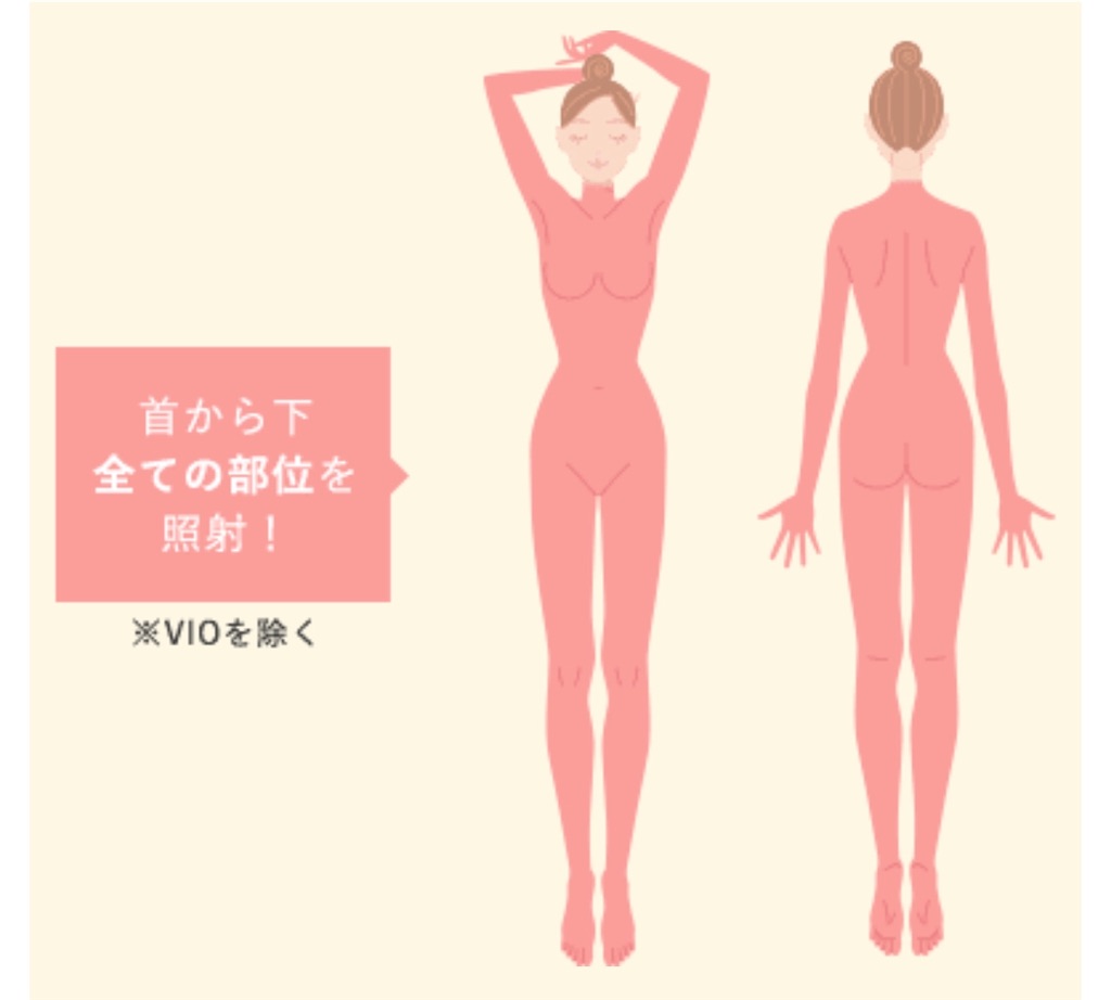 f:id:poikatsukun:20200303145130j:image f:id:poikatsukun:20200303145130j:image