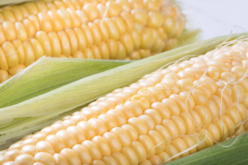 f:id:pointia:20190223134740j:plain