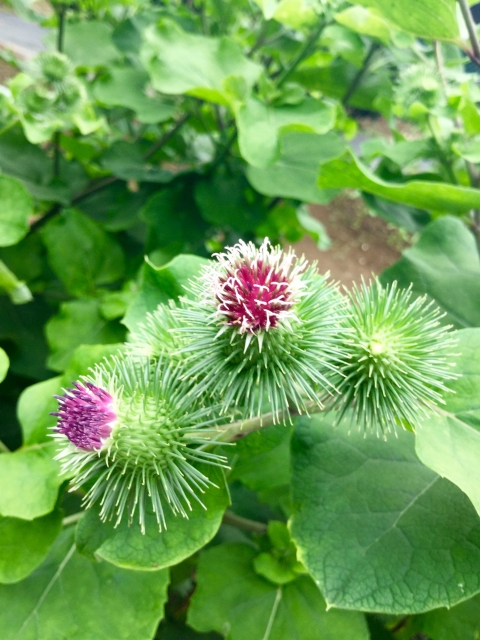 f:id:pointia:20190507225347j:plain