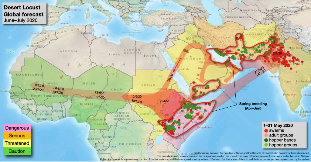 発生 バッタ 地図 大量 2020 バッタ大量発生、数千万人に食料危機の恐れ、東アフリカ