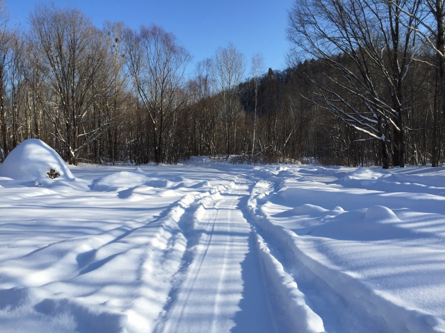 f:id:pointia:20200623222458j:plain