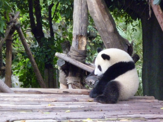 f:id:pointia:20200629164730j:plain f:id:pointia:20200629164730j:plain