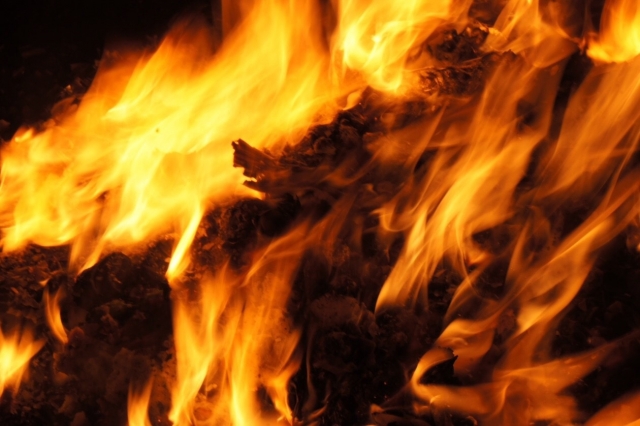 f:id:pointia:20200820220255j:plain f:id:pointia:20200820220255j:plain