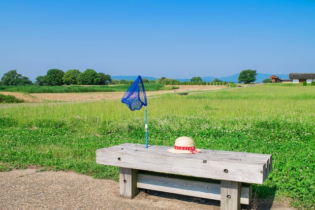 f:id:pointia:20200828185655j:plain