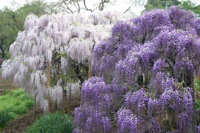 f:id:pointia:20201015192649j:plain