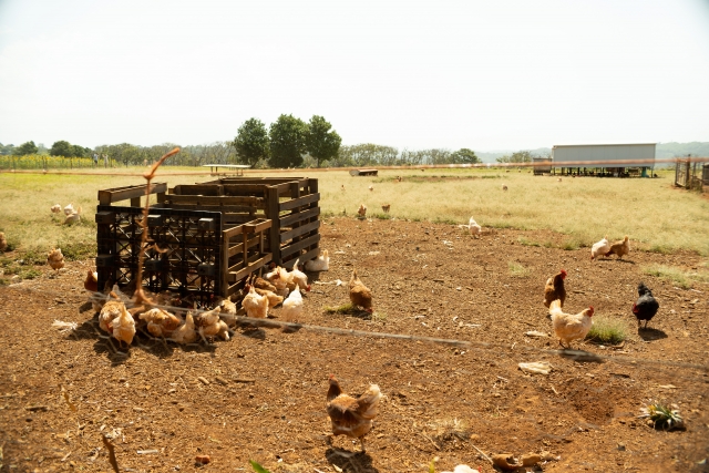 f:id:pointia:20210305182043j:plain