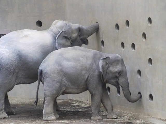 f:id:pointia:20211116113428j:plain