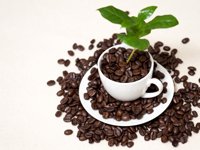 f:id:pointia:20211209173139j:plain