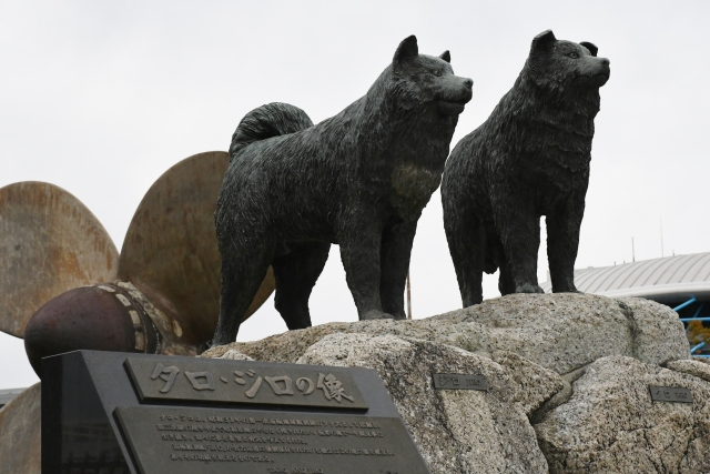 f:id:pointia:20220210153904j:plain