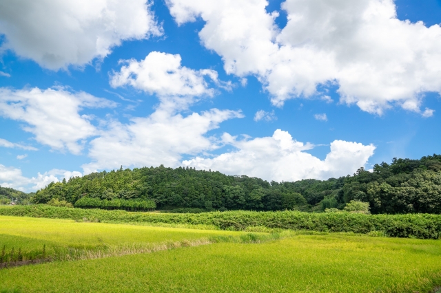 f:id:pointia:20220219181047j:plain