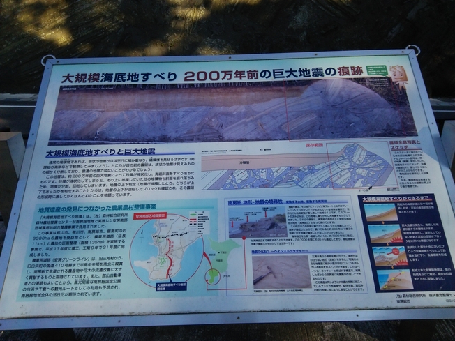 イメージ 4