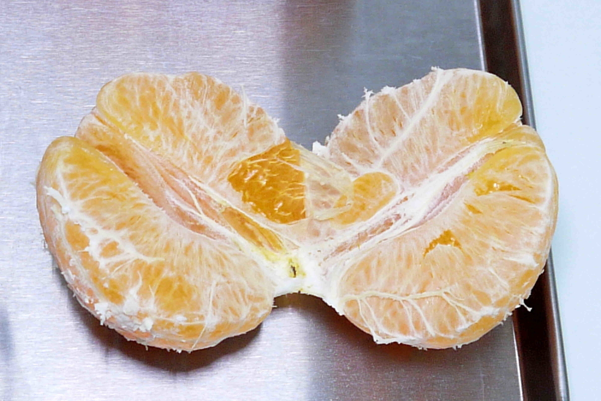 f:id:poipoipatapata:20220219162811j:plain