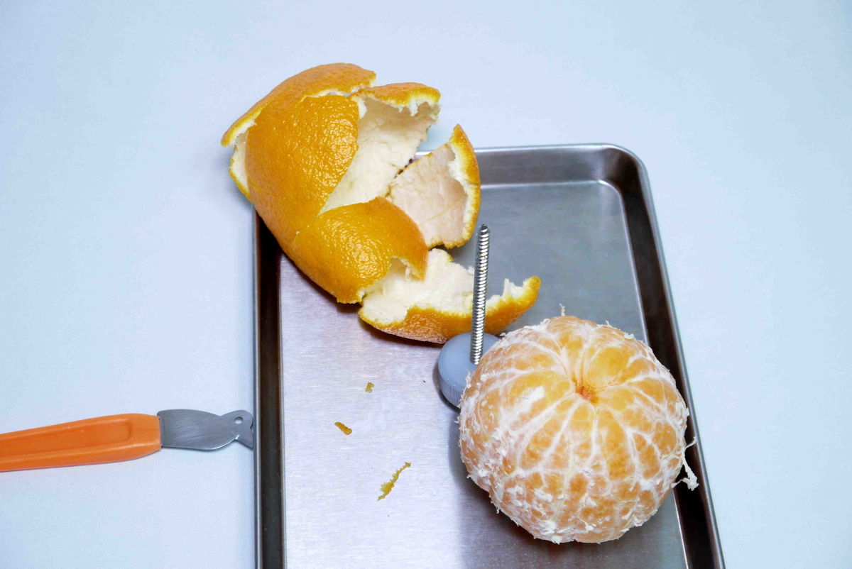 f:id:poipoipatapata:20220219162821j:plain