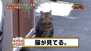 f:id:poison3rd:20100517170155j:image