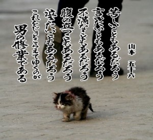 f:id:poison3rd:20101124203720j:image