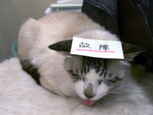 f:id:poison3rd:20110502194453j:image f:id:poison3rd:20110502194453j:image