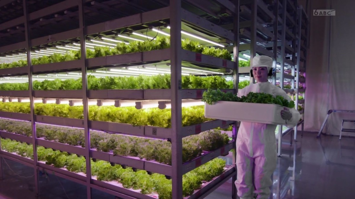 f:id:poison3rd:20200503192646j:plain