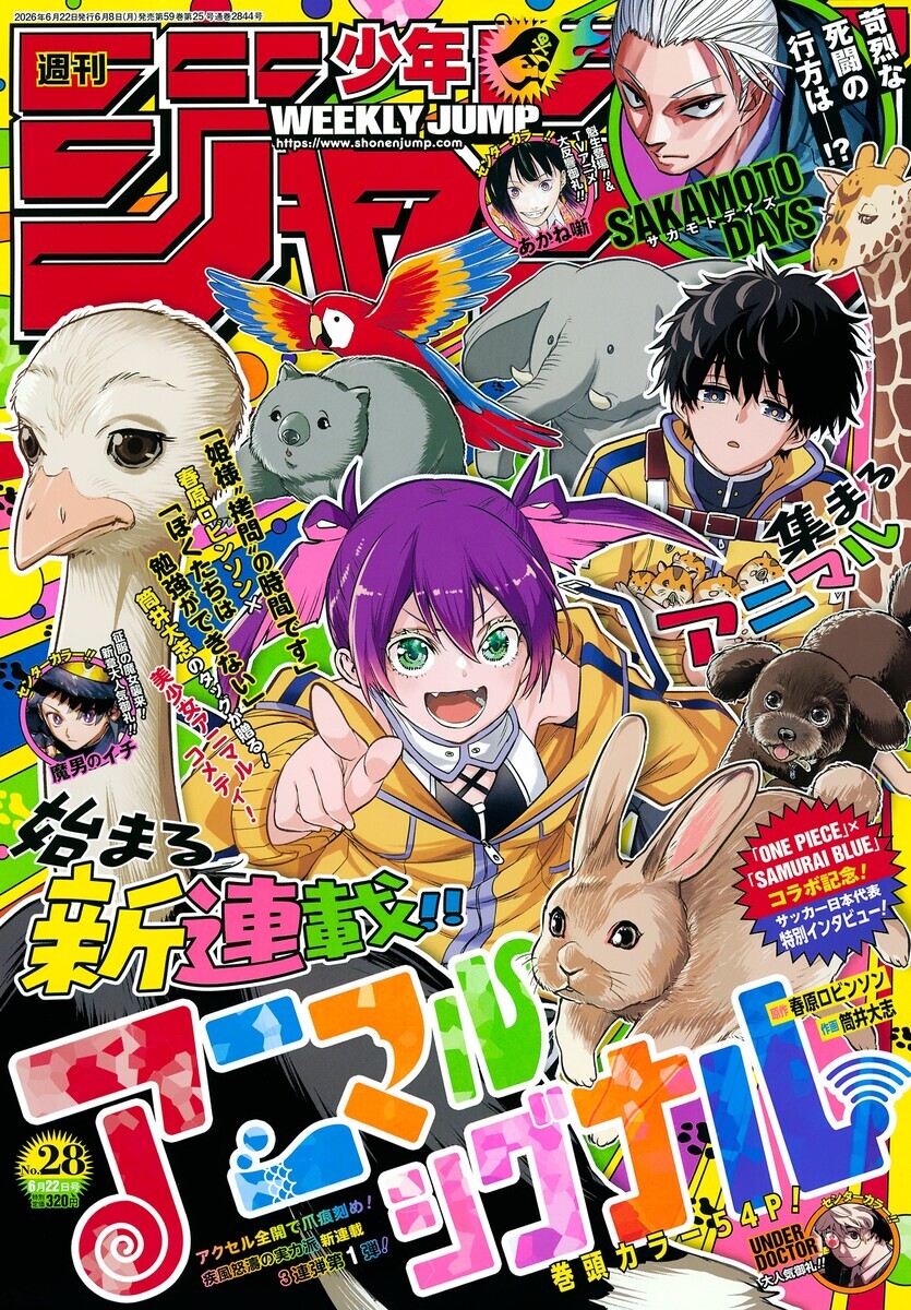 今週のジャンプ感想 2026年28号 の巻 - LUCKY☆LAND