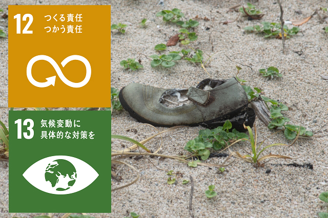 f:id:pokala:20200930133758j:plain エシカル サステナブルスニーカー