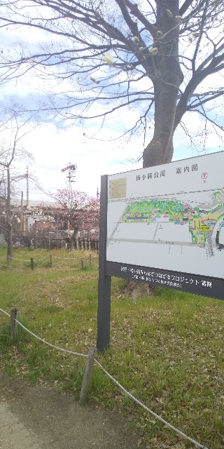 f:id:poke398:20190325191912j:image