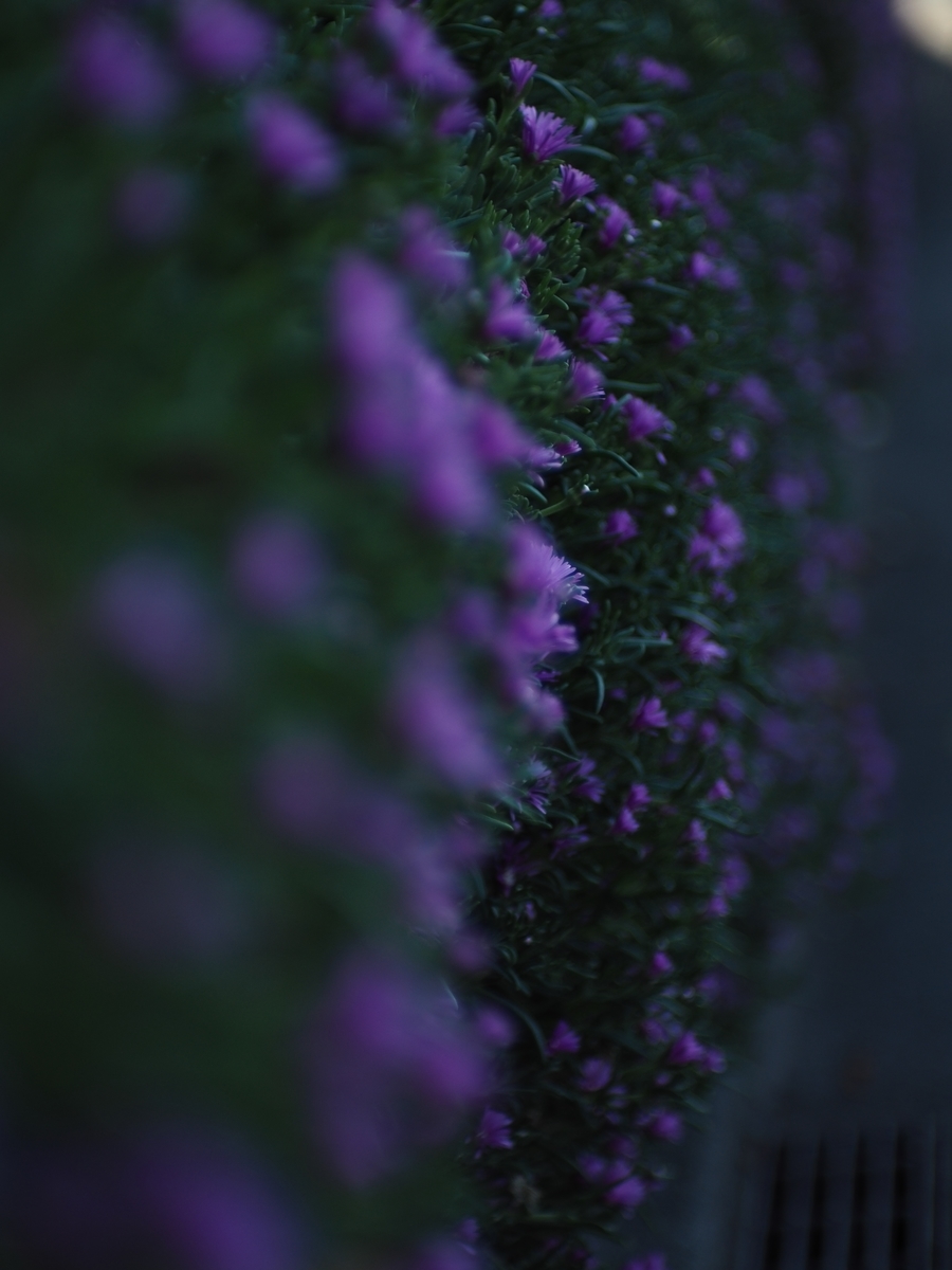 f:id:poke4wd:20190529000607j:plain f:id:poke4wd:20190529000607j:plain