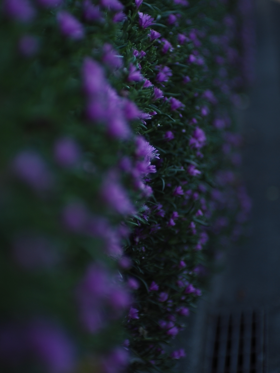 f:id:poke4wd:20190529000634j:plain f:id:poke4wd:20190529000634j:plain