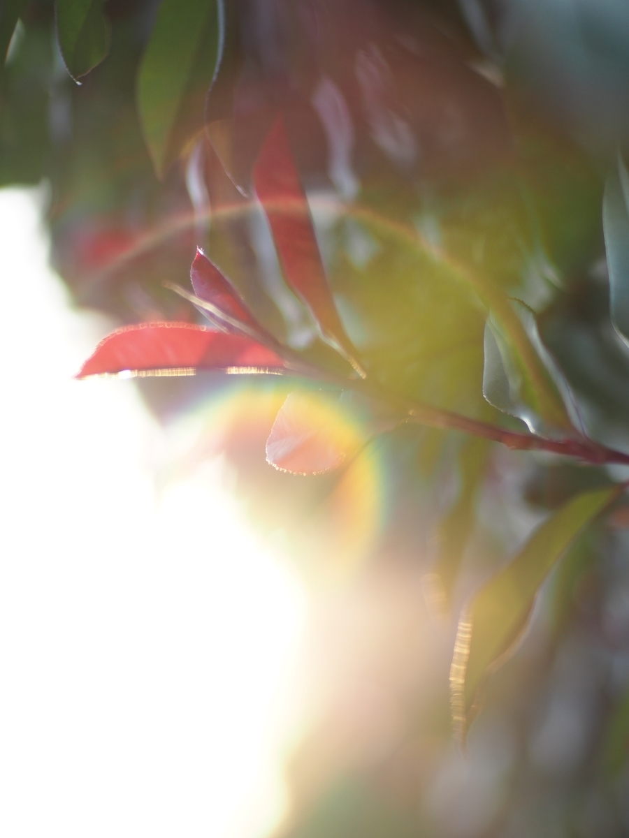 f:id:poke4wd:20190529001002j:plain f:id:poke4wd:20190529001002j:plain