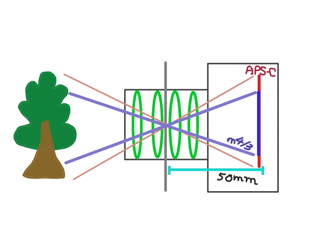 f:id:poke4wd:20190529004325j:plain f:id:poke4wd:20190529004325j:plain