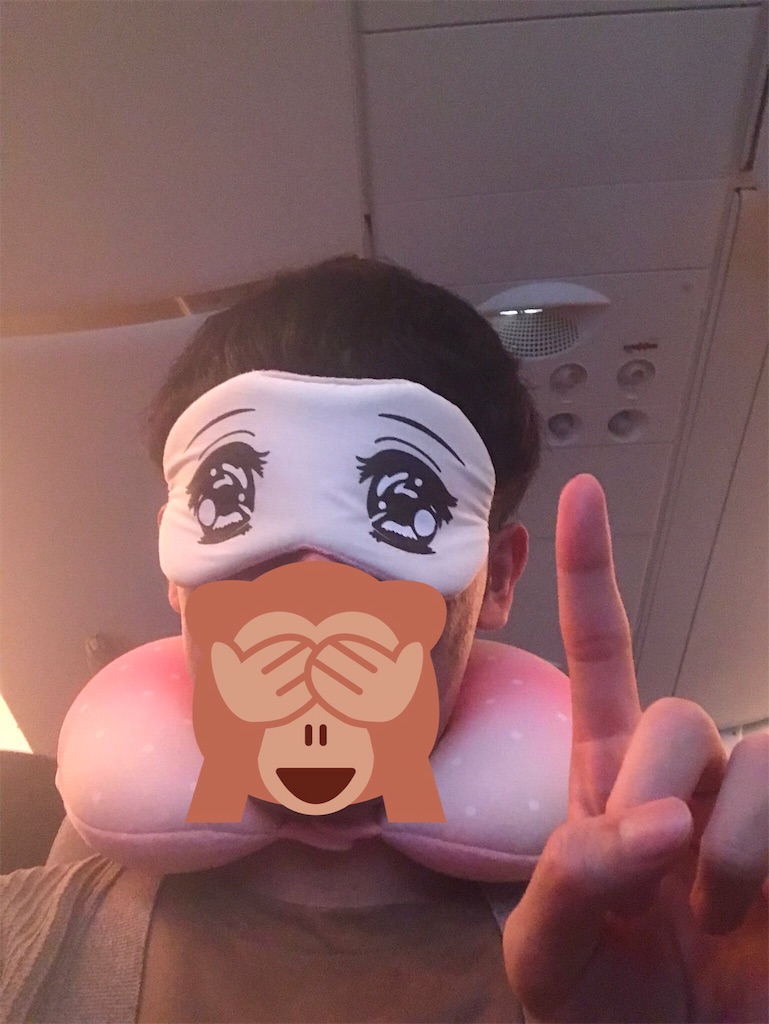 f:id:poke_gu:20190303051236j:image f:id:poke_gu:20190303051236j:image