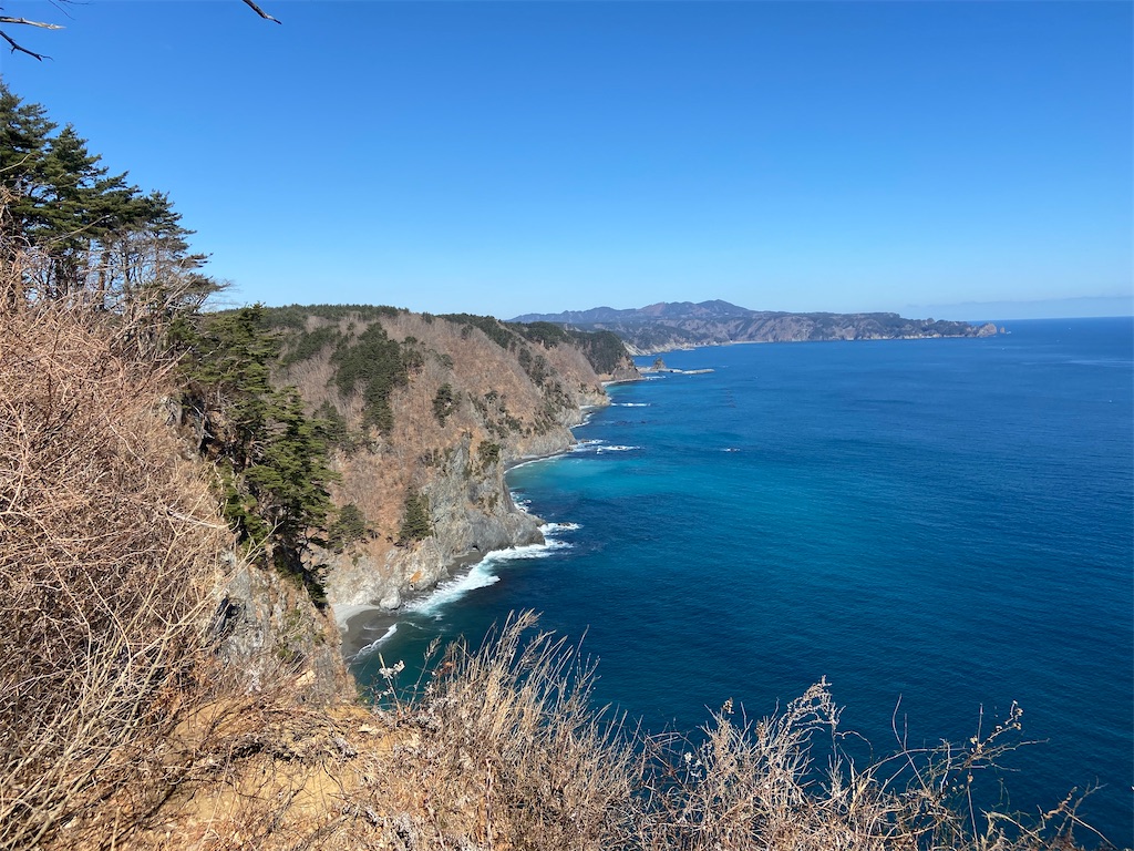 f:id:poke_gu:20210312085514j:image