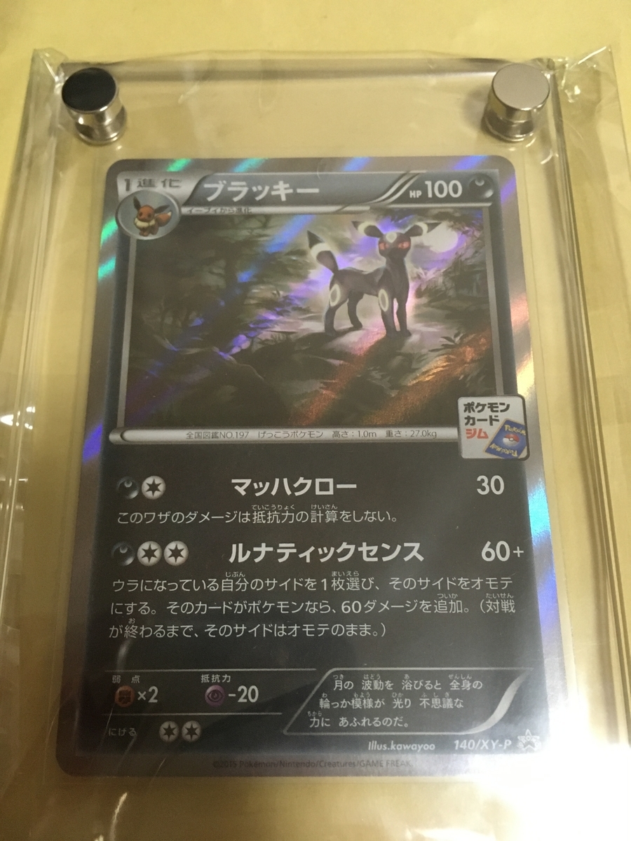 Pokecaoripaの日記