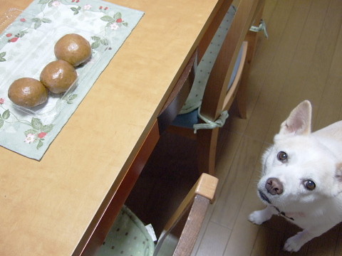 f:id:pokefuku2:20090820163048j:image
