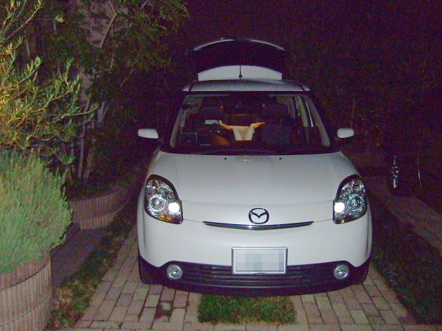 f:id:pokefuku2:20091027205754j:image