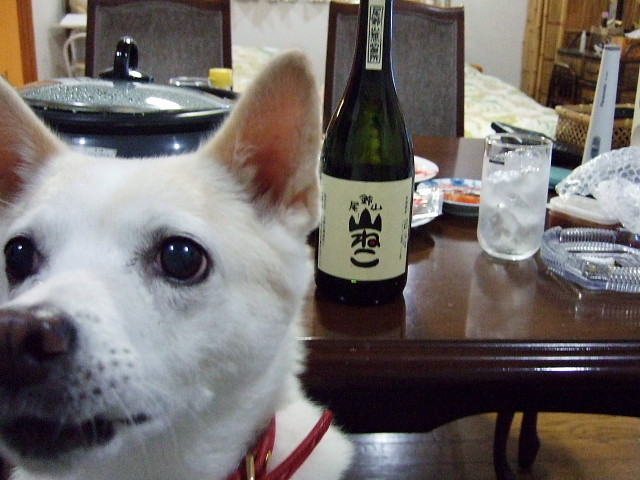 f:id:pokefuku2:20091028181621j:image