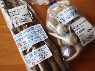 f:id:pokefuku2:20091227115501j:image