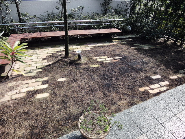 f:id:pokefuku2:20100320141017j:image