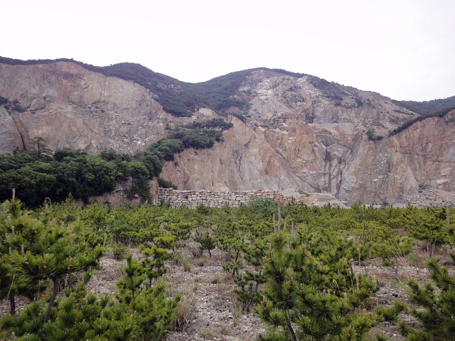 f:id:pokefuku2:20110521092424j:image