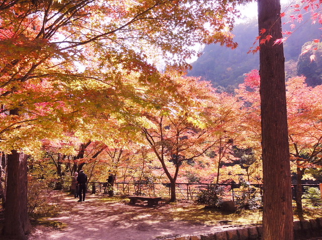 f:id:pokefuku2:20111029110044j:image