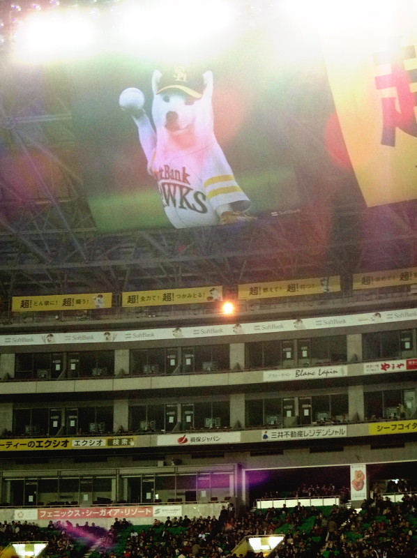 f:id:pokefuku2:20131115183745j:image