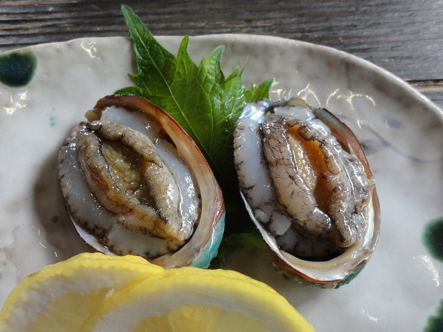 f:id:pokefuku2:20140111115824j:image