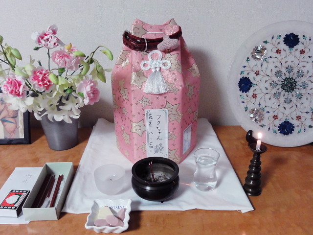 f:id:pokefuku2:20140825070832j:image