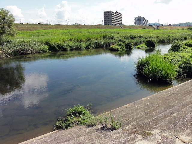 f:id:pokefuku2:20140830094249j:image